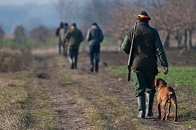 devis assurance AXA pour les chasseurs