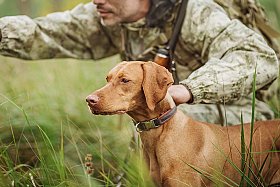 devis AXA assurance chasse